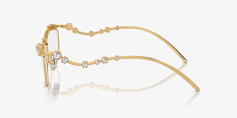 Swarovski SK1015 Glasses