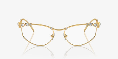 Swarovski SK1015 Glasses