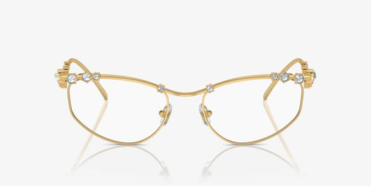Swarovski SK1015 Glasses